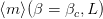 ⟨m ⟩(β = βc,L )  