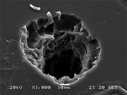 Irradiated IOL